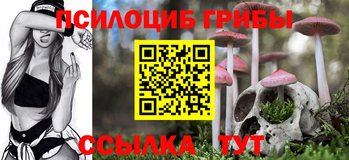 Галлюциногенные грибы Psilocybe Сафоново